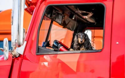 Air Conditioning Failures on the Road: A Fleet Manager’s Guide